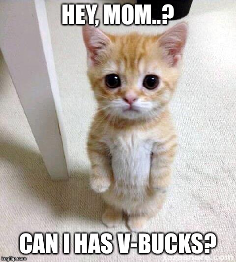 can i has v-bucks? | HEY, MOM..? CAN I HAS V-BUCKS? | image tagged in memes,cute cat,cat,aww,fortnite | made w/ Imgflip meme maker