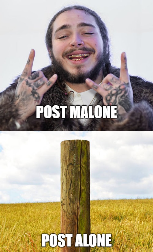 post m/alone | POST MALONE; POST ALONE | image tagged in post malone | made w/ Imgflip meme maker