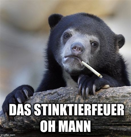 Confession Bear Meme | OH MANN; DAS STINKTIERFEUER | image tagged in memes,confession bear | made w/ Imgflip meme maker