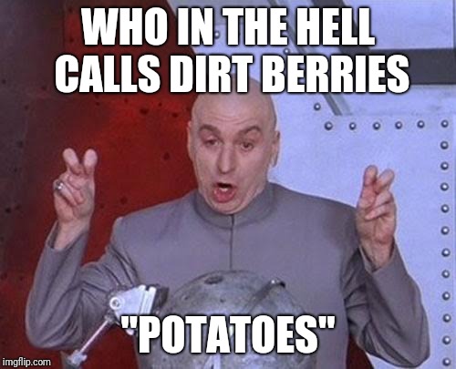 Dr Evil Laser Meme | WHO IN THE HELL CALLS DIRT BERRIES; "POTATOES" | image tagged in memes,dr evil laser | made w/ Imgflip meme maker