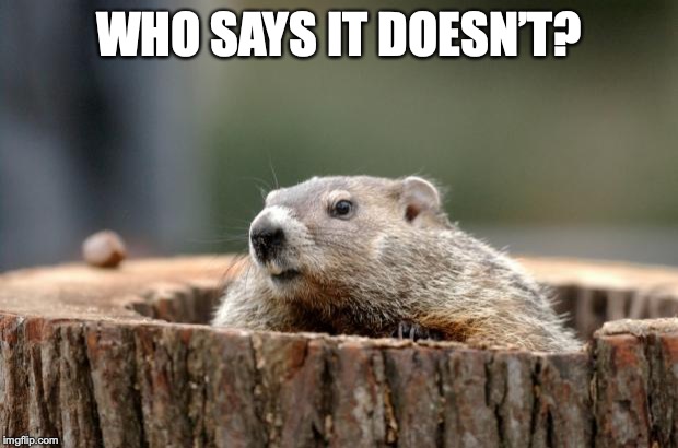 Groundhog | WHO SAYS IT DOESN’T? | image tagged in groundhog | made w/ Imgflip meme maker