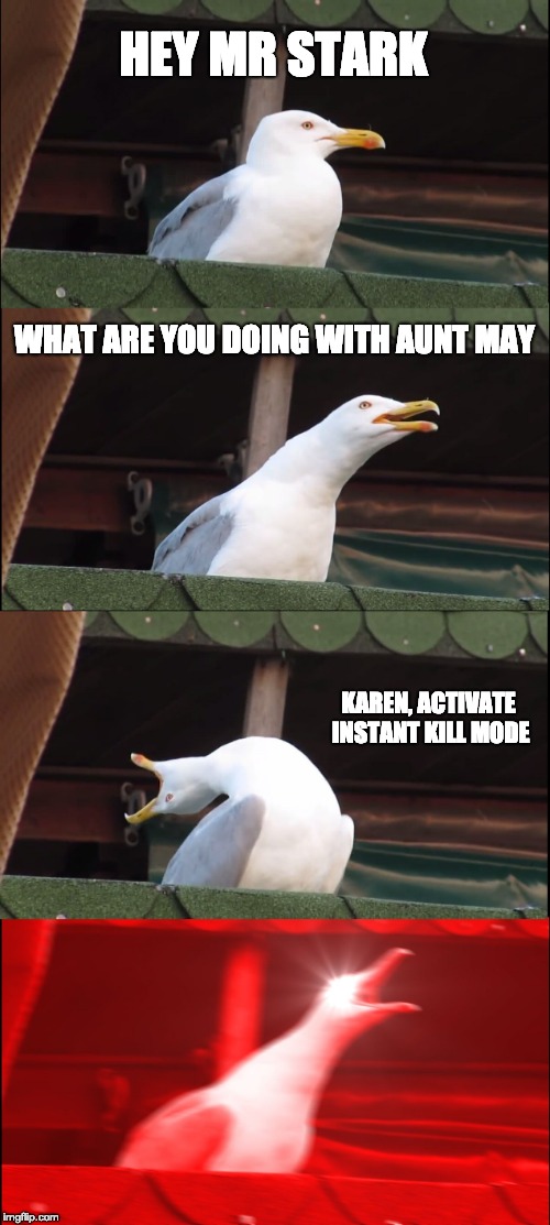Inhaling Seagull Meme | HEY MR STARK; WHAT ARE YOU DOING WITH AUNT MAY; KAREN, ACTIVATE INSTANT KILL MODE | image tagged in memes,inhaling seagull | made w/ Imgflip meme maker