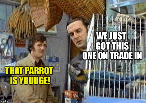 Monty Python dead parrot | WE JUST GOT THIS ONE ON TRADE IN THAT PARROT IS YUUUGE! | image tagged in monty python dead parrot | made w/ Imgflip meme maker