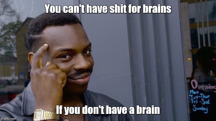 Roll Safe Think About It | You can't have shit for brains; If you don't have a brain | image tagged in memes,roll safe think about it | made w/ Imgflip meme maker