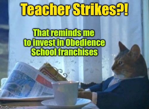 And maybe choker chains too | Teacher Strikes?! That reminds me to invest in Obedience School franchises | image tagged in memes,i should buy a boat cat,teacher strikes,obedience school,investments | made w/ Imgflip meme maker