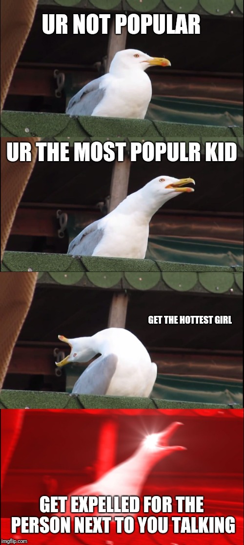 Inhaling Seagull Meme | UR NOT POPULAR; UR THE MOST POPULR KID; GET THE HOTTEST GIRL; GET EXPELLED FOR THE PERSON NEXT TO YOU TALKING | image tagged in memes,inhaling seagull | made w/ Imgflip meme maker