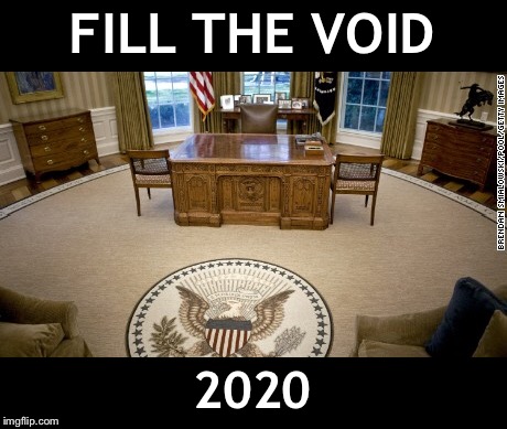 Fill The Void 2020 | FILL THE VOID; 2020 | image tagged in politics,trump,drumpf,election 2020 | made w/ Imgflip meme maker