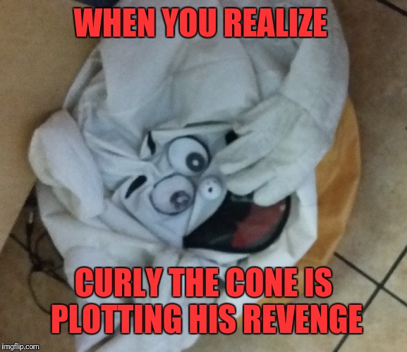 Too all those DQ lovers out there, BEWARE!! | WHEN YOU REALIZE; CURLY THE CONE IS PLOTTING HIS REVENGE | image tagged in revenge,mascot,ice cream cone | made w/ Imgflip meme maker
