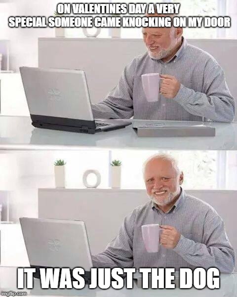 Hide the Pain Harold | ON VALENTINES DAY A VERY SPECIAL SOMEONE CAME KNOCKING ON MY DOOR; IT WAS JUST THE DOG | image tagged in memes,hide the pain harold | made w/ Imgflip meme maker