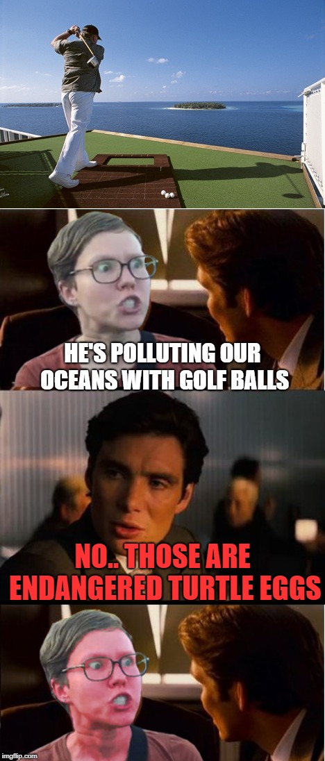 And I'm a heatseeker charging up the sky And I'm a heatseeker I don't need no life preserver I don't need no one to hose me down | HE'S POLLUTING OUR OCEANS WITH GOLF BALLS; NO.. THOSE ARE ENDANGERED TURTLE EGGS | image tagged in inception,triggered feminist | made w/ Imgflip meme maker