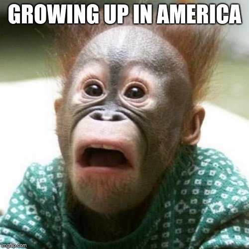 Shocked Monkey | GROWING UP IN AMERICA | image tagged in shocked monkey | made w/ Imgflip meme maker