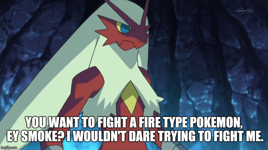 blaziken | YOU WANT TO FIGHT A FIRE TYPE POKEMON, EY SMOKE? I WOULDN'T DARE TRYING TO FIGHT ME. | image tagged in blaziken | made w/ Imgflip meme maker