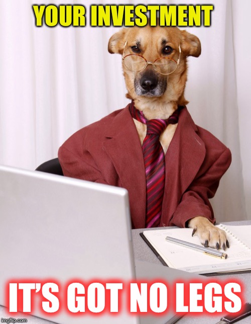 Dog Accountant | YOUR INVESTMENT IT’S GOT NO LEGS | image tagged in dog accountant | made w/ Imgflip meme maker