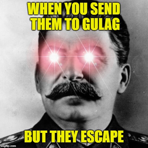WHEN YOU SEND THEM TO GULAG; BUT THEY ESCAPE | image tagged in memes,joseph stalin,gulag,funny,powermetalhead,escape | made w/ Imgflip meme maker