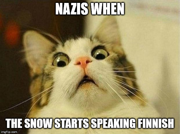 Scared Cat Meme |  NAZIS WHEN; THE SNOW STARTS SPEAKING FINNISH | image tagged in memes,scared cat | made w/ Imgflip meme maker