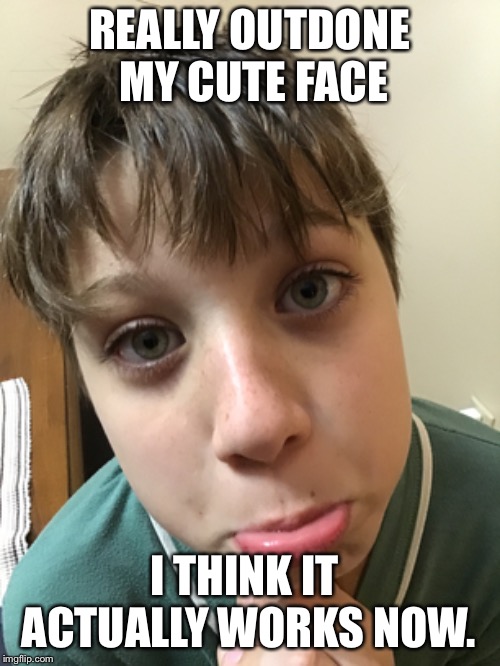 cute faces always work | REALLY OUTDONE MY CUTE FACE; I THINK IT ACTUALLY WORKS NOW. | image tagged in fun,life | made w/ Imgflip meme maker