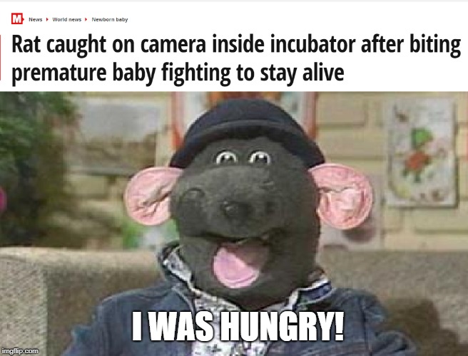 All Roland wanted was some babyback ribs | I WAS HUNGRY! | image tagged in memes,rat memes,roland rat | made w/ Imgflip meme maker