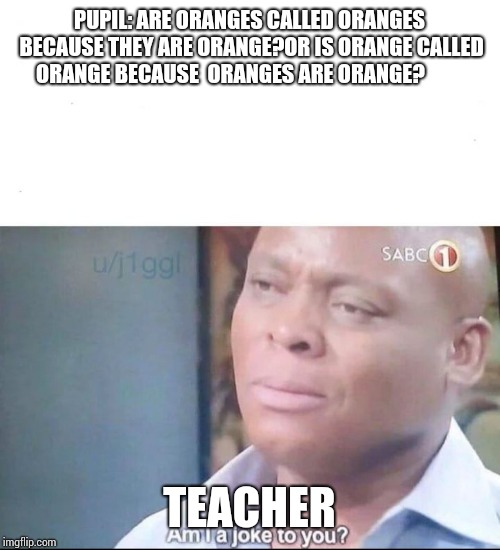 am I a joke to you | PUPIL: ARE ORANGES CALLED ORANGES BECAUSE THEY ARE ORANGE?OR IS ORANGE CALLED ORANGE BECAUSE  ORANGES ARE ORANGE? TEACHER | image tagged in am i a joke to you | made w/ Imgflip meme maker
