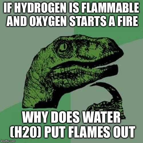 Philosoraptor Meme | IF HYDROGEN IS FLAMMABLE AND OXYGEN STARTS A FIRE; WHY DOES WATER (H20) PUT FLAMES OUT | image tagged in memes,philosoraptor | made w/ Imgflip meme maker