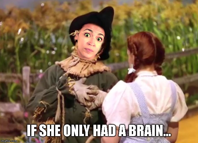 If Ocassio-Cortez Only Had A Brain | IF SHE ONLY HAD A BRAIN... | image tagged in if ocassio-cortez only had a brain | made w/ Imgflip meme maker