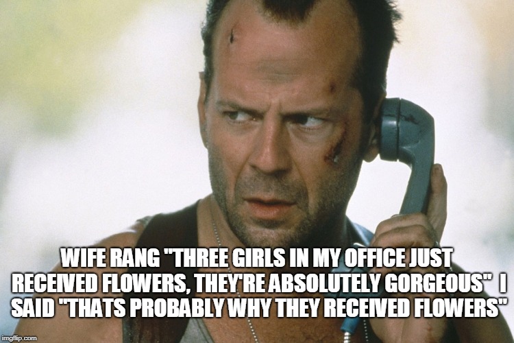 bruce willis on the phone die hard | WIFE RANG "THREE GIRLS IN MY OFFICE JUST RECEIVED FLOWERS, THEY'RE ABSOLUTELY GORGEOUS"

I SAID "THATS PROBABLY WHY THEY RECEIVED FLOWERS" | image tagged in bruce willis on the phone die hard | made w/ Imgflip meme maker