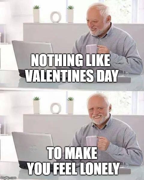 Happy valentines day | NOTHING LIKE VALENTINES DAY; TO MAKE YOU FEEL LONELY | image tagged in memes,hide the pain harold | made w/ Imgflip meme maker