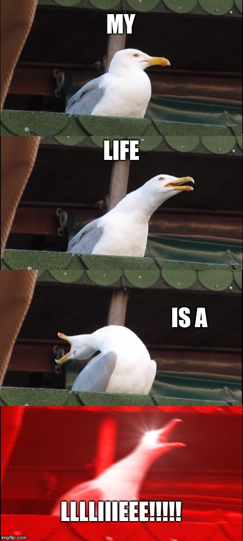 Inhaling Seagull | MY; LIFE; IS A; LLLLIIIEEE!!!!! | image tagged in memes,inhaling seagull | made w/ Imgflip meme maker