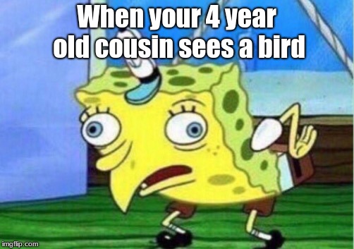 Mocking Spongebob Meme | When your 4 year old cousin sees a bird | image tagged in memes,mocking spongebob | made w/ Imgflip meme maker