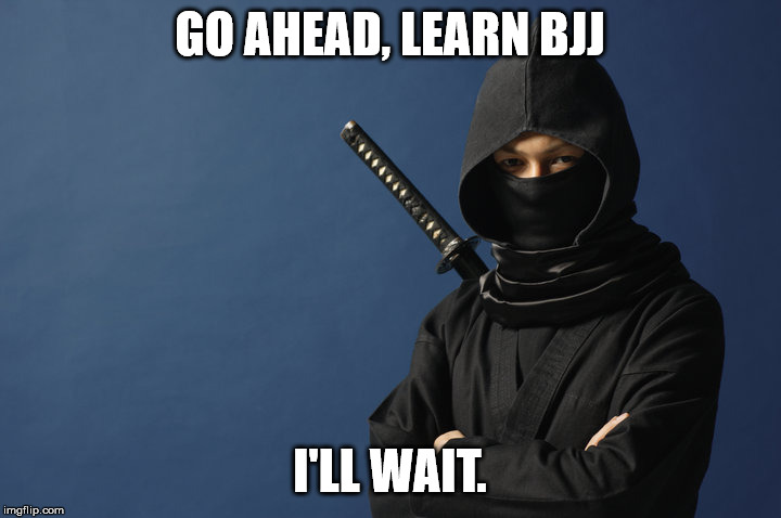 GO AHEAD, LEARN BJJ; I'LL WAIT. | image tagged in ninjas,bjj,brazilian jujitsu | made w/ Imgflip meme maker