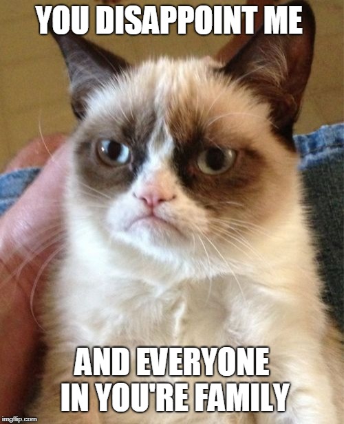 Grumpy Cat | YOU DISAPPOINT ME; AND EVERYONE IN YOU'RE FAMILY | image tagged in memes,grumpy cat | made w/ Imgflip meme maker