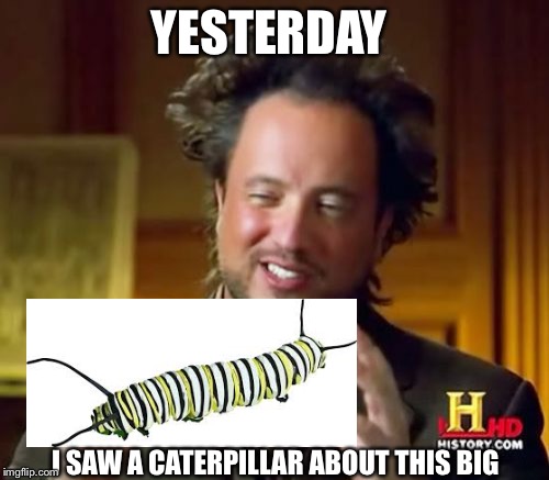 Ancient Aliens | YESTERDAY; I SAW A CATERPILLAR ABOUT THIS BIG | image tagged in memes,ancient aliens | made w/ Imgflip meme maker