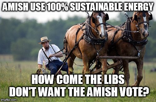 Amish farmer | AMISH USE 100% SUSTAINABLE ENERGY; HOW COME THE LIBS DON'T WANT THE AMISH VOTE? | image tagged in amish farmer | made w/ Imgflip meme maker