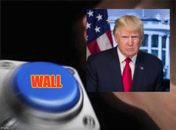 Blank Nut Button | WALL | image tagged in memes,blank nut button | made w/ Imgflip meme maker