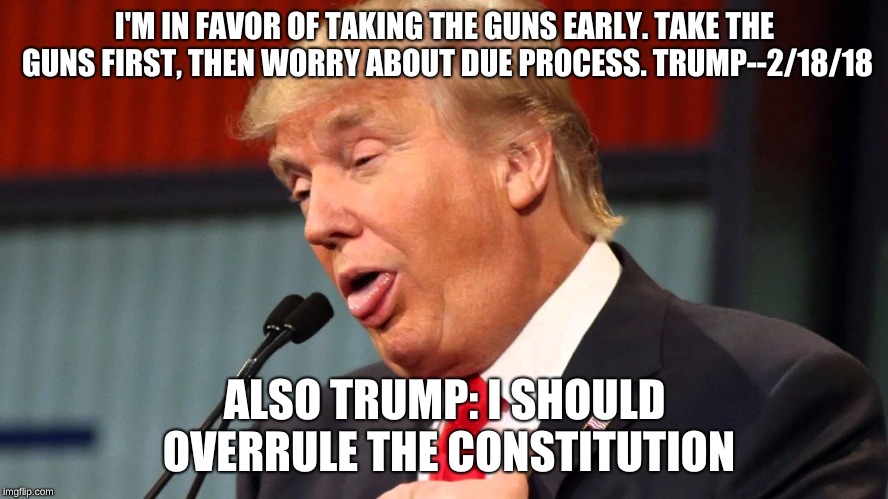 I'M IN FAVOR OF TAKING THE GUNS EARLY. TAKE THE GUNS FIRST, THEN WORRY ABOUT DUE PROCESS. TRUMP--2/18/18; ALSO TRUMP: I SHOULD OVERRULE THE CONSTITUTION | image tagged in trump traitor | made w/ Imgflip meme maker