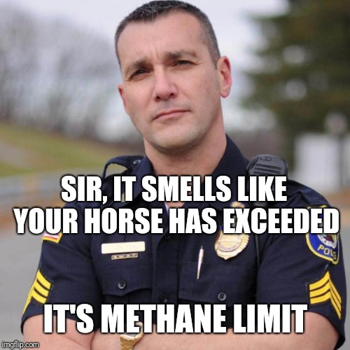 Cop | SIR, IT SMELLS LIKE YOUR HORSE HAS EXCEEDED IT'S METHANE LIMIT | image tagged in cop | made w/ Imgflip meme maker