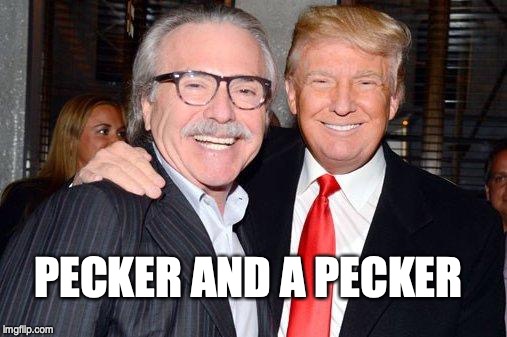 Donald J Pecker | PECKER AND A PECKER | image tagged in donald trump | made w/ Imgflip meme maker