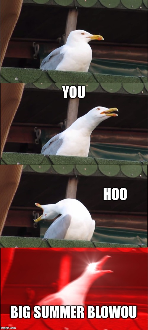 Inhaling Seagull | YOU; HOO; BIG SUMMER BLOWOUT | image tagged in memes,inhaling seagull | made w/ Imgflip meme maker