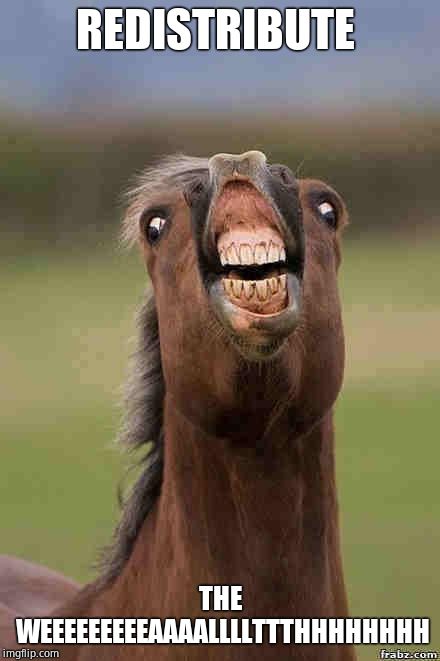 horse face | REDISTRIBUTE THE WEEEEEEEEEAAAALLLLTTTHHHHHHHH | image tagged in horse face | made w/ Imgflip meme maker