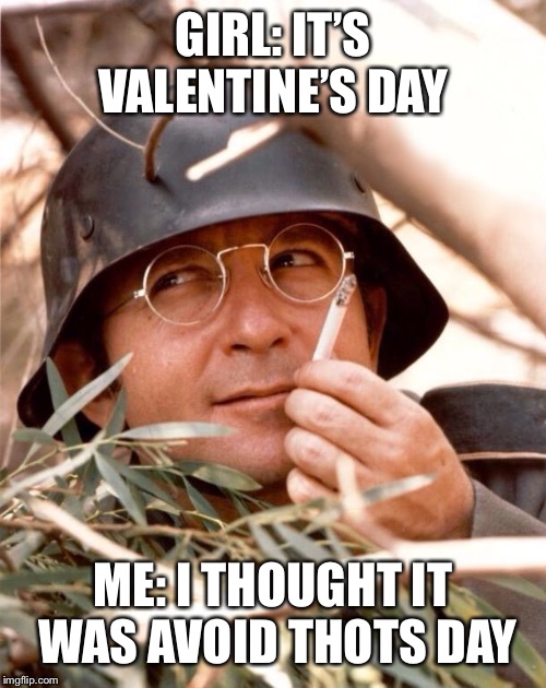 Good luck on not getting a Thot on Valentine’s Day  | GIRL: IT’S VALENTINE’S DAY; ME: I THOUGHT IT WAS AVOID THOTS DAY | image tagged in wolfgang the german soldier,memes,valentine's day | made w/ Imgflip meme maker