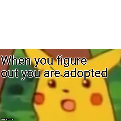 Surprised Pikachu Meme | When you figure out you are adopted | image tagged in memes,surprised pikachu | made w/ Imgflip meme maker