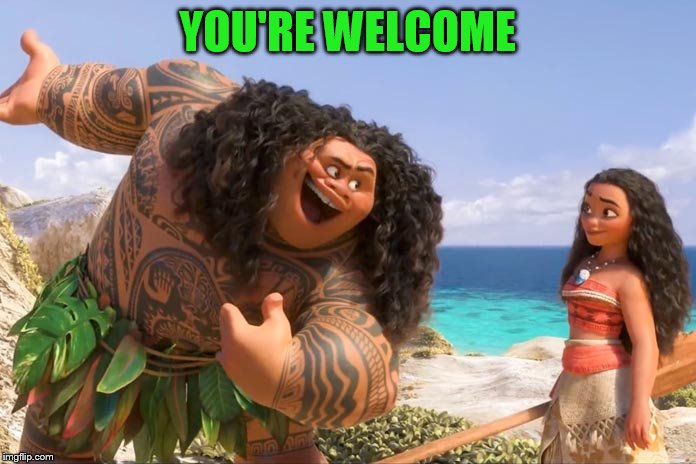 Moana Maui You're Welcome | YOU'RE WELCOME | image tagged in moana maui you're welcome | made w/ Imgflip meme maker