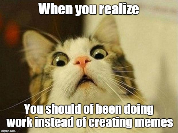 Uh oh... | When you realize; You should of been doing work instead of creating memes | image tagged in memes,scared cat | made w/ Imgflip meme maker