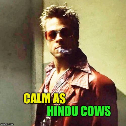 CALM AS HINDU COWS | made w/ Imgflip meme maker