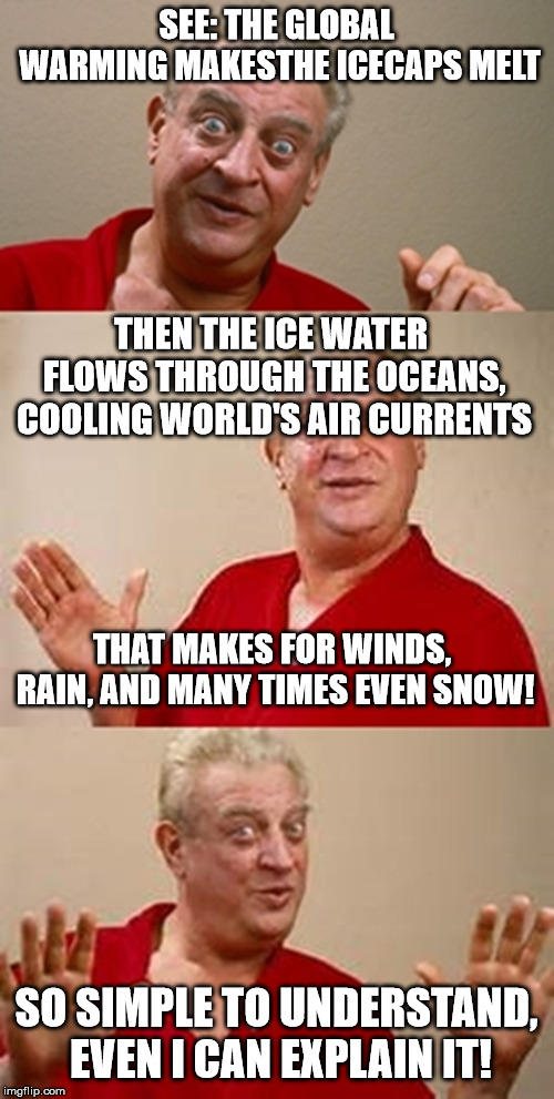 bad pun Dangerfield  | SEE: THE GLOBAL WARMING MAKESTHE ICECAPS MELT SO SIMPLE TO UNDERSTAND, EVEN I CAN EXPLAIN IT! THEN THE ICE WATER FLOWS THROUGH THE OCEANS, C | image tagged in bad pun dangerfield | made w/ Imgflip meme maker