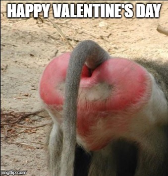 It is what it is... | HAPPY VALENTINE'S DAY | image tagged in valentine's day,funny memes | made w/ Imgflip meme maker