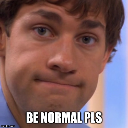 Welp Jim face | BE NORMAL PLS | image tagged in welp jim face | made w/ Imgflip meme maker