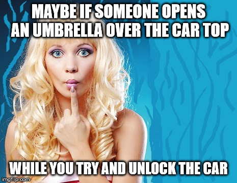 ditzy blonde | MAYBE IF SOMEONE OPENS AN UMBRELLA OVER THE CAR TOP WHILE YOU TRY AND UNLOCK THE CAR | image tagged in ditzy blonde | made w/ Imgflip meme maker