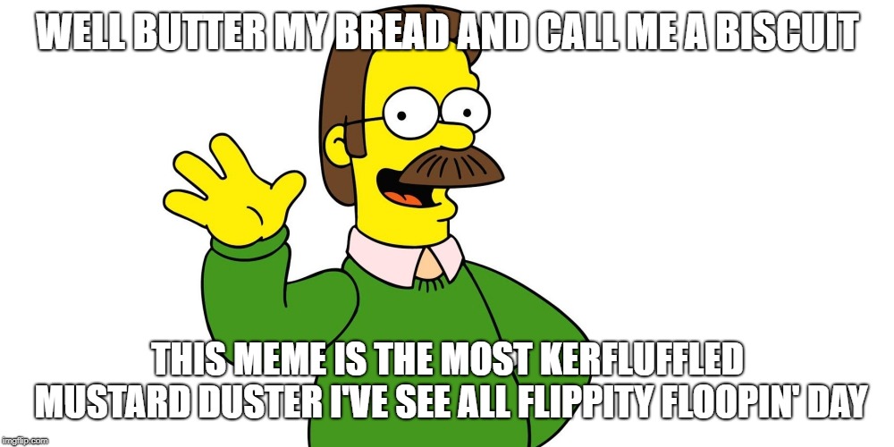 Ned Flanders Wave | WELL BUTTER MY BREAD AND CALL ME A BISCUIT THIS MEME IS THE MOST KERFLUFFLED MUSTARD DUSTER I'VE SEE ALL FLIPPITY FLOOPIN' DAY | image tagged in ned flanders wave | made w/ Imgflip meme maker
