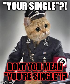 Grammar Nazi Cat | "YOUR SINGLE"?! DONT YOU MEAN "YOU'RE SINGLE"!? | image tagged in grammar nazi cat | made w/ Imgflip meme maker