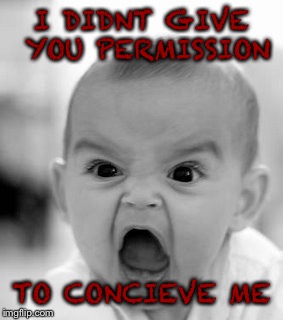 Angry Baby Meme | I DIDNT GIVE YOU PERMISSION TO CONCIEVE ME | image tagged in memes,angry baby | made w/ Imgflip meme maker